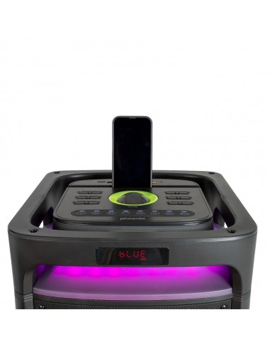 Altavoz phoenix bigboss xl 300w rms 2 microfonos inalambricos batería 9000mah bluetooth radio ecualizador rgb