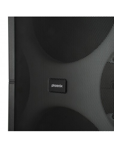 Altavoz phoenix bigboss xl 300w rms 2 microfonos inalambricos batería 9000mah bluetooth radio ecualizador rgb