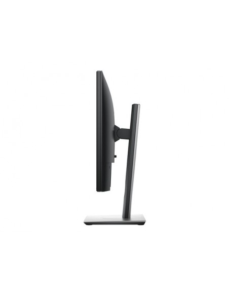 Monitor dell pro plus 19 pulgadas 60hz