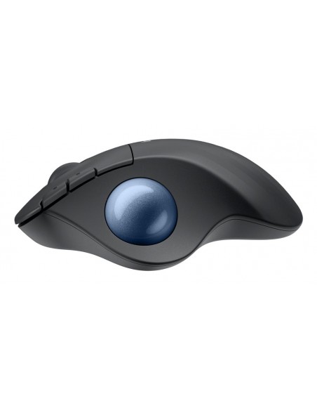 Raton inalambrico logitech ergo m575s negro Raton inalambrico logitech ergo m575s negro