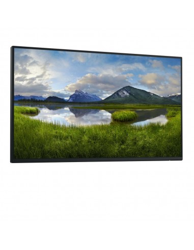 Monitor dell p2425h 24 pulgadas fhd 100hz
