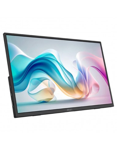 Monitor msi mp165 e6 15.6 pulgadas fhd