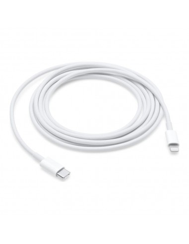 Cable usb tipo c a lightning apple 2m - macho - macho - blanco