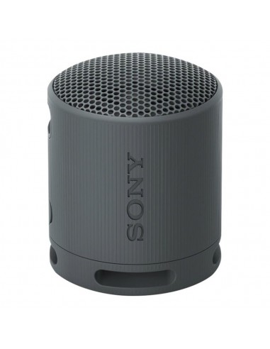 Altavoz inalambrico sony srs - xb100 negro