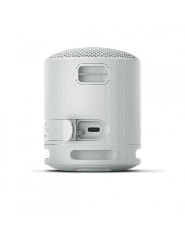Altavoz inalambrico sony srs - xb100 gris