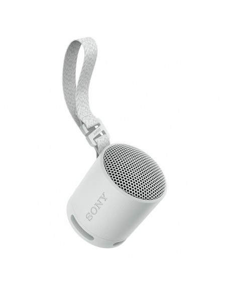 Altavoz inalambrico sony srs - xb100 gris