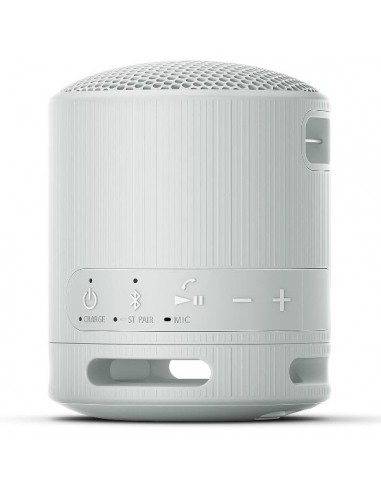 Altavoz inalambrico sony srs - xb100 gris