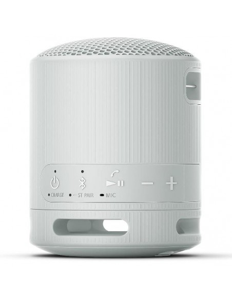 Altavoz inalambrico sony srs - xb100 gris