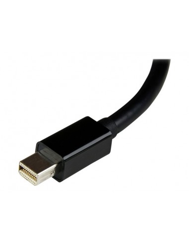 Adaptador mini dp a dvi startech 17cm - macho - hembra - negro