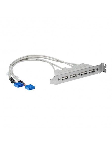 Cabezal bracket startech 4x usb 2.0