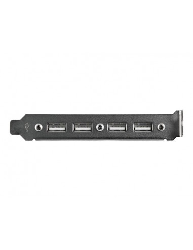 Cabezal bracket startech 4x usb 2.0