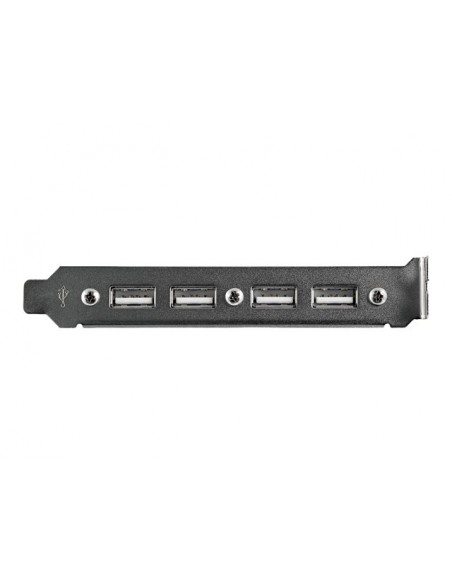 Cabezal bracket startech 4x usb 2.0 Cabezal bracket startech 4x usb 2.0
