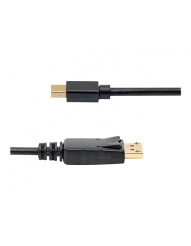 Cable mini dp a displayport startech 1.8m - macho - macho - negro