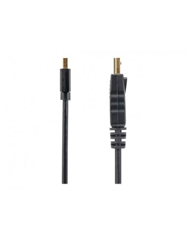 Cable mini dp a displayport startech 1.8m - macho - macho - negro