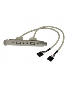 Adaptador placa usb a h 2 puertos