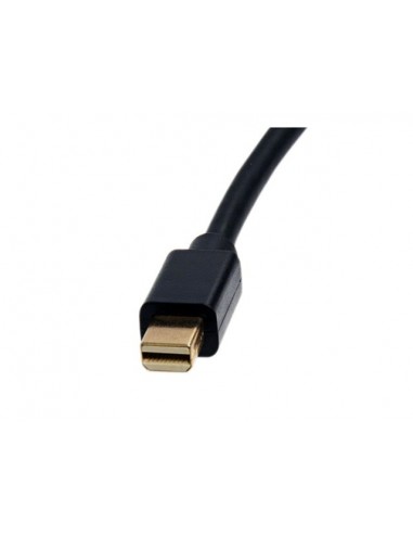 Adaptador mini dp a dvi startech macho - hembra - negro