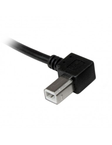 Cable usb tipo a a usb tipo b startech 2m - macho - macho - negro