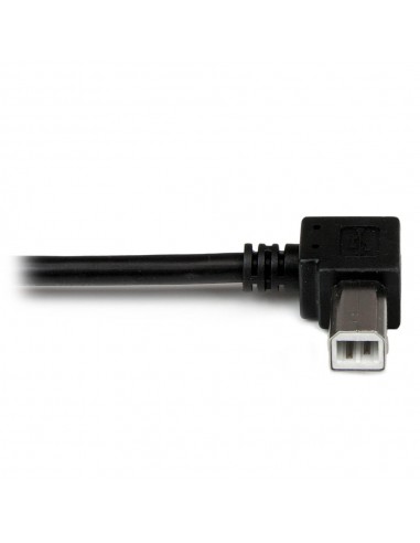 Cable usb tipo a a usb tipo b startech 2m - macho - macho - negro