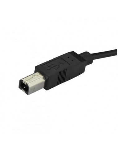 Cable usb tipo c a usb tipo b startech 2m - macho - macho - negro