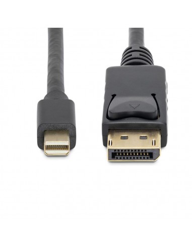 Cable mini dp a displayport startech 2m - macho - macho - negro