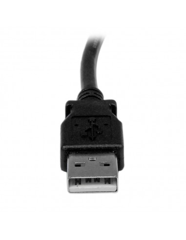 Cable usb tipo a ausb tipo b startech 2m - macho - macho - negro