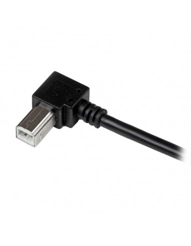 Cable usb tipo a ausb tipo b startech 2m - macho - macho - negro