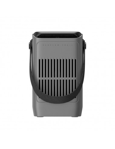Powerbank ecoflow trail 200dc 192wh