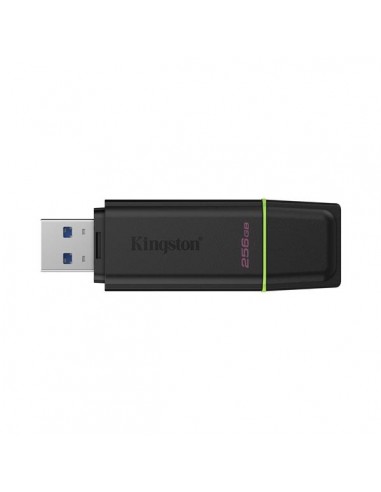 Memoria usb 3.2 kingston 256 gb datatraveler exodia