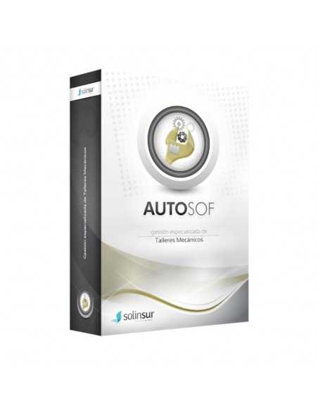 Programa de gestion integral de talleres de coches monopuesto solinsur