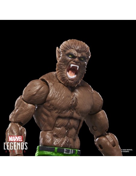 Figura hasbro marvel legends series werewolf by night Figura hasbro marvel legends series werewolf by night