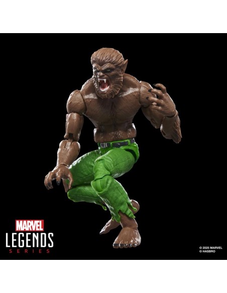 Figura hasbro marvel legends series werewolf by night Figura hasbro marvel legends series werewolf by night
