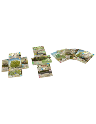 Juego de mesa forest shuffle dartmoor
