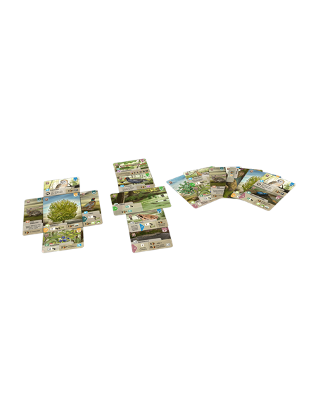 Juego de mesa forest shuffle dartmoor Juego de mesa forest shuffle dartmoor