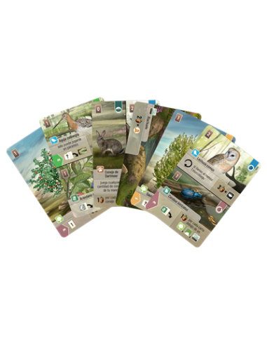 Juego de mesa forest shuffle dartmoor