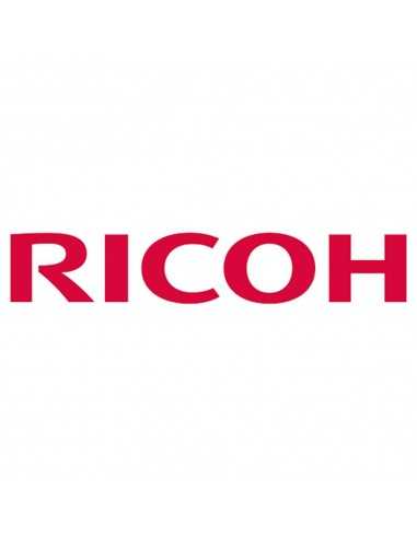 Esponja absorbente ricoh ri 100 24 unidades