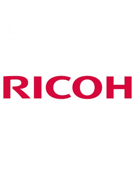 Esponja absorbente ricoh ri 100 24 unidades