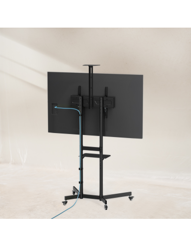 Soporte suelo con ruedas tooq vesa hasta 70 pulgadas 600x400mm max 70kg