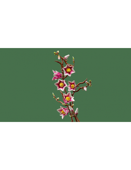 Lego botanicals ramas de magnolia Lego botanicals ramas de magnolia